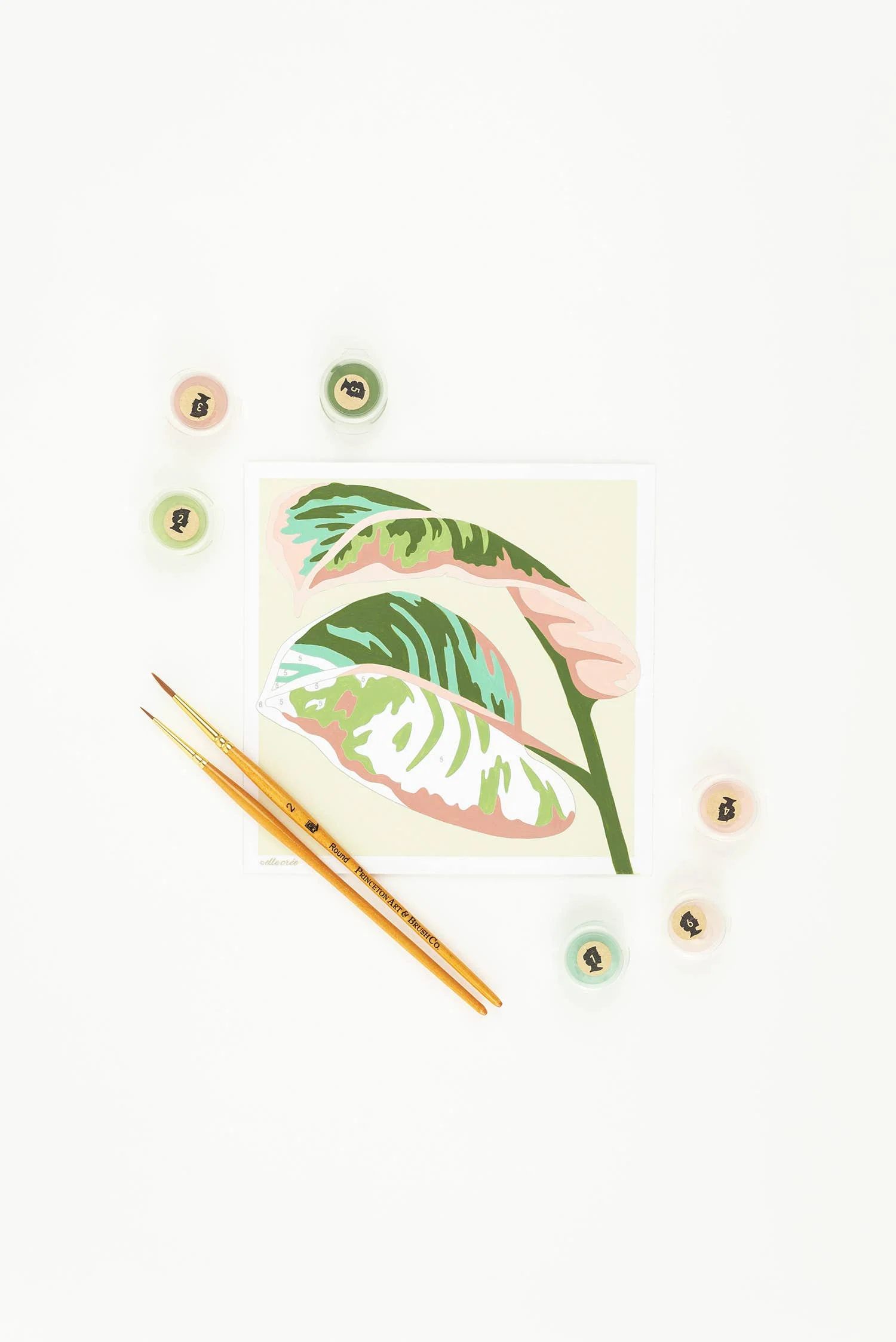 Elle Crée (She Creates): Rubber Plant Leaves MINI Paint-by-Number Kit - Image 2