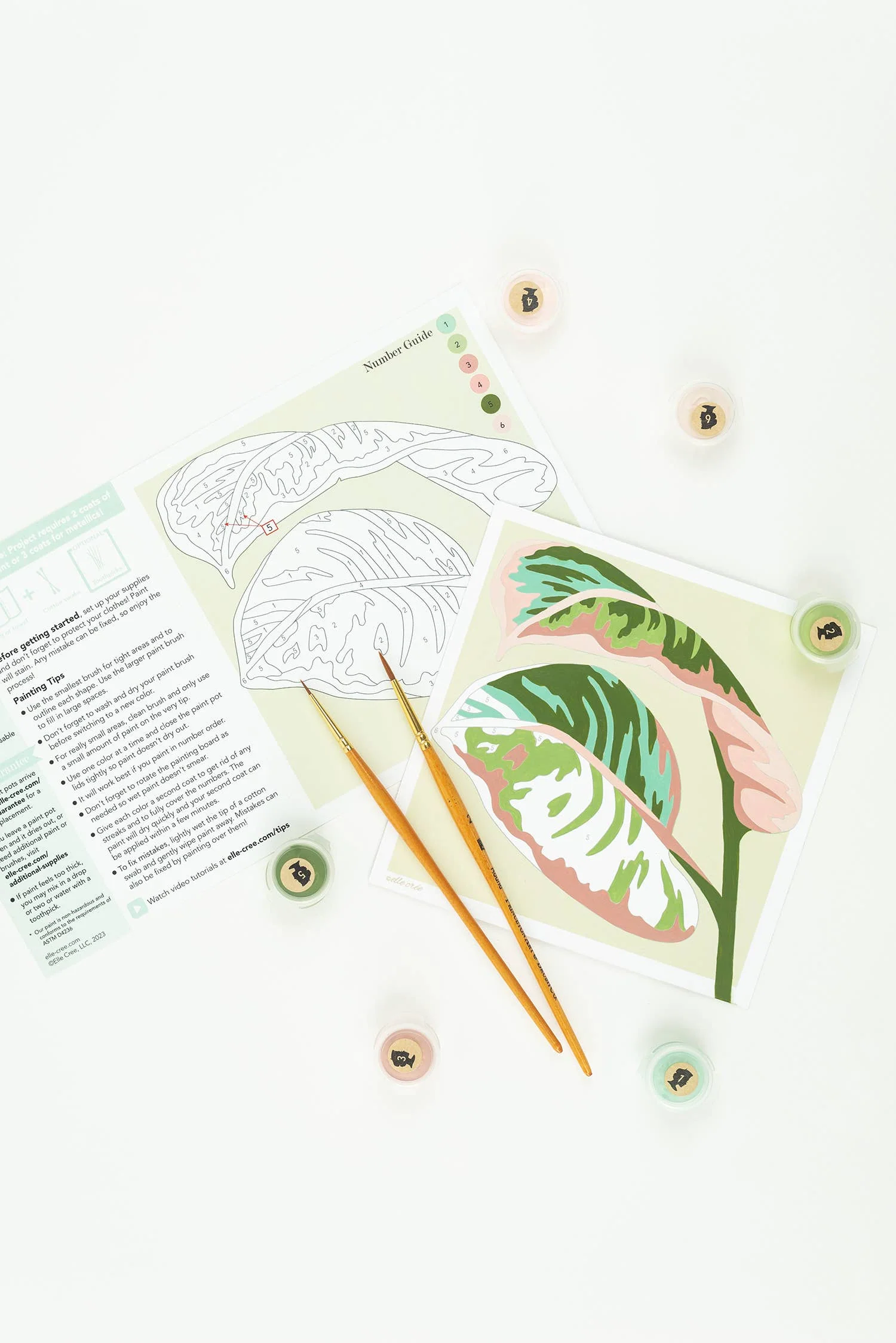 Elle Crée (She Creates): Rubber Plant Leaves MINI Paint-by-Number Kit - Image 3
