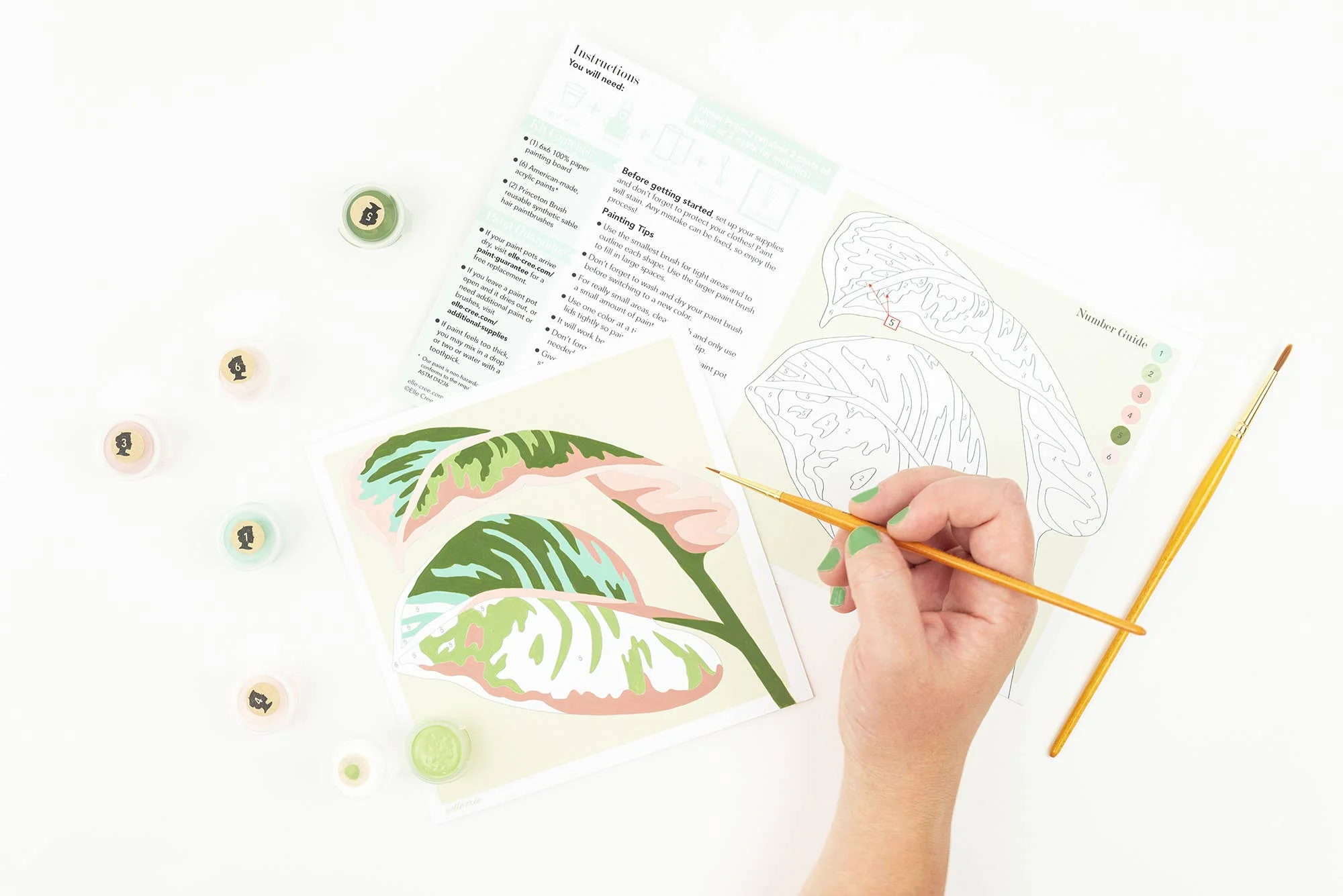 Elle Crée (She Creates): Rubber Plant Leaves MINI Paint-by-Number Kit - Image 4
